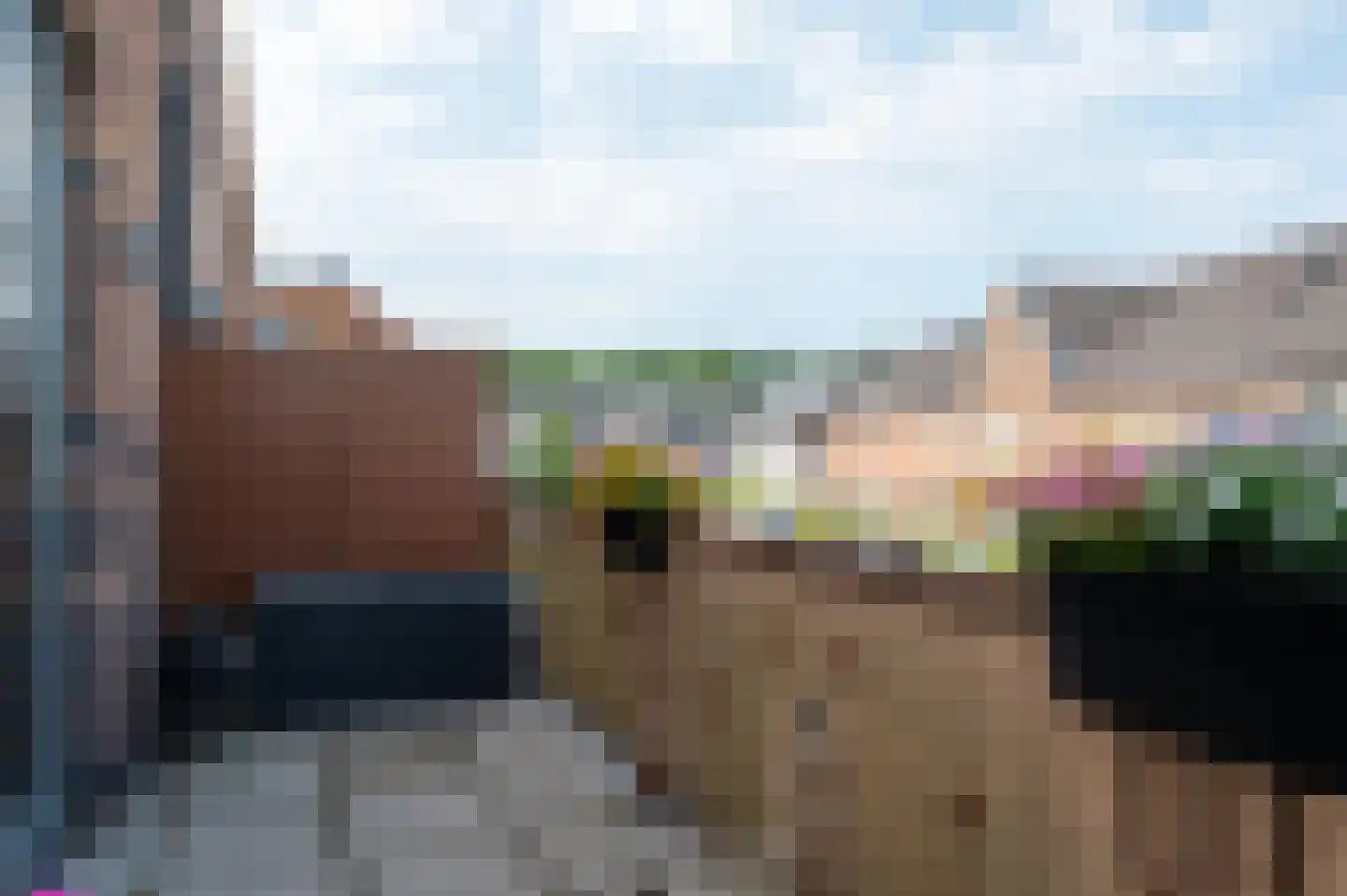 Gerritje van Beekstraat 7 Putten thumbnail 19