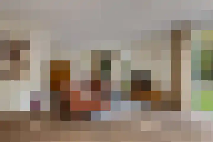 Gerritjeshof 2 Leersum thumbnail 11