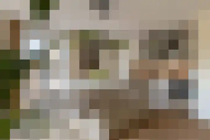 Gerritjeshof 2 Leersum thumbnail 30