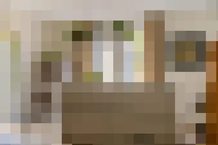 Gerritjeshof 2 Leersum thumbnail 32