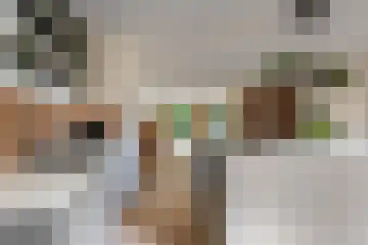 Gerritjeshof 2 Leersum thumbnail 35