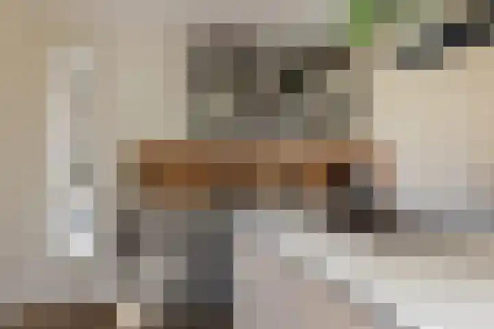 Gerritjeshof 2 Leersum thumbnail 37