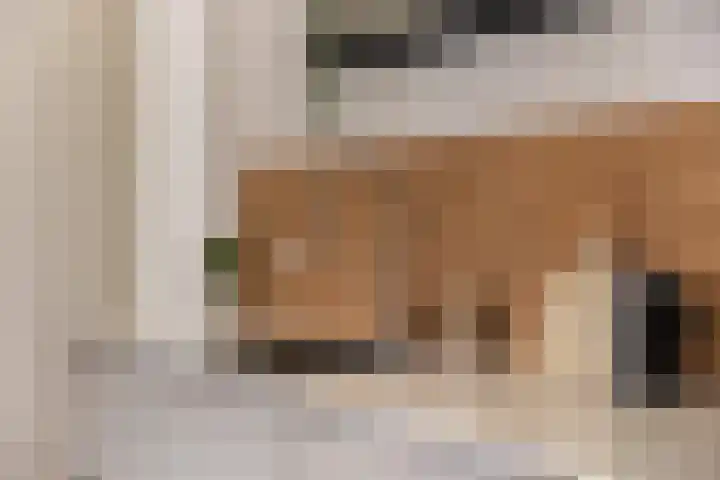 Gerritjeshof 2 Leersum thumbnail 39