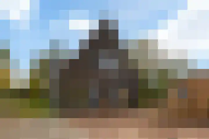Gerritjeshof 2 Leersum thumbnail 4