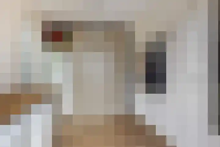 Gerritjeshof 2 Leersum thumbnail 40