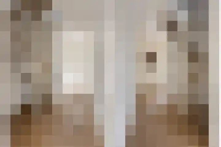 Gerritjeshof 2 Leersum thumbnail 47