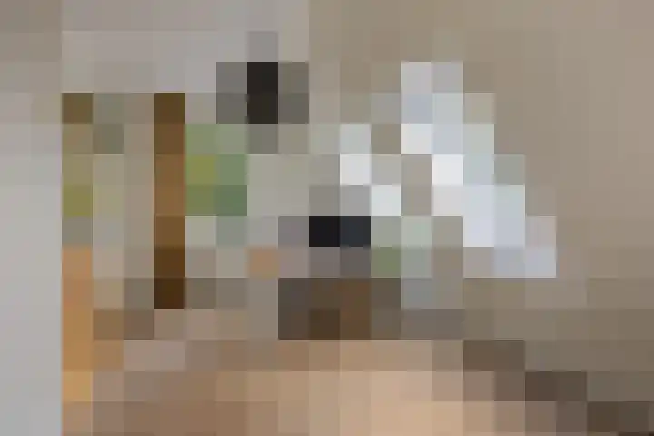 Gerritjeshof 2 Leersum thumbnail 50