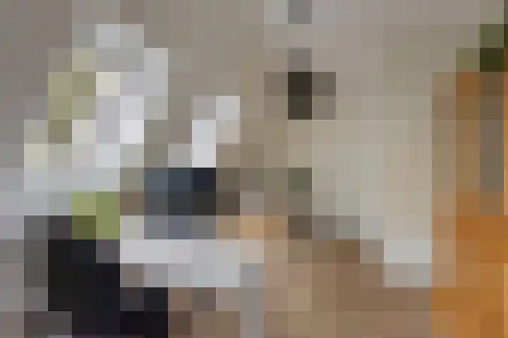 Gerritjeshof 2 Leersum thumbnail 51