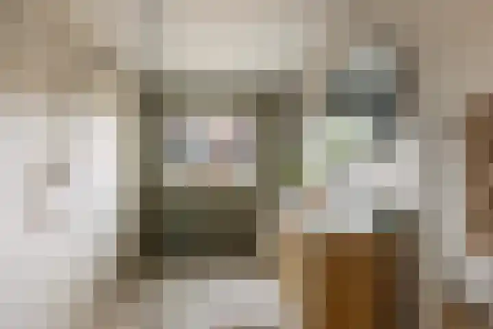 Gerritjeshof 2 Leersum thumbnail 56
