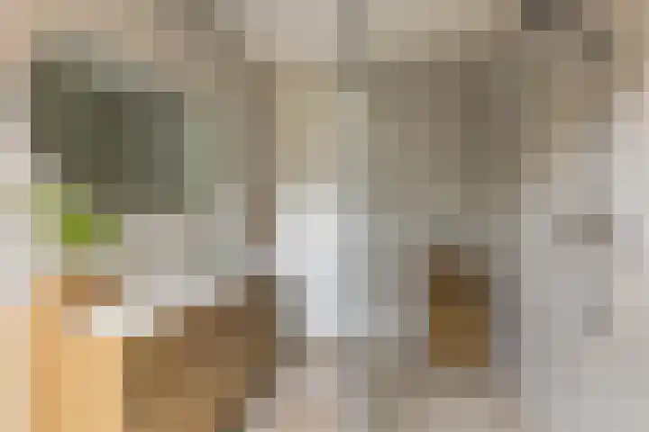 Gerritjeshof 2 Leersum thumbnail 57
