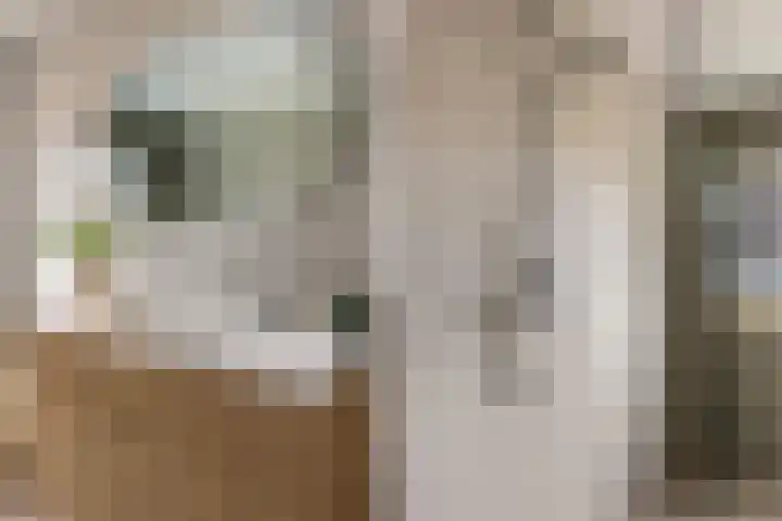 Gerritjeshof 2 Leersum thumbnail 58