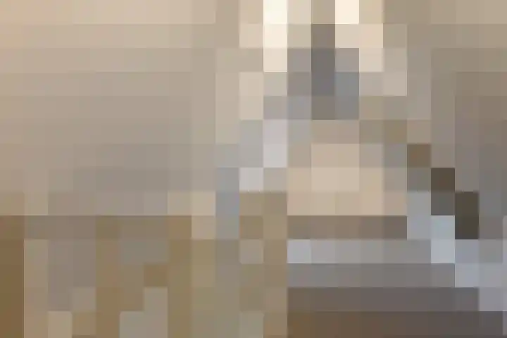 Gerritjeshof 2 Leersum thumbnail 60