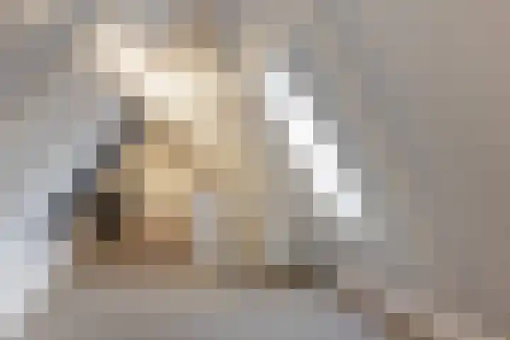 Gerritjeshof 2 Leersum thumbnail 61