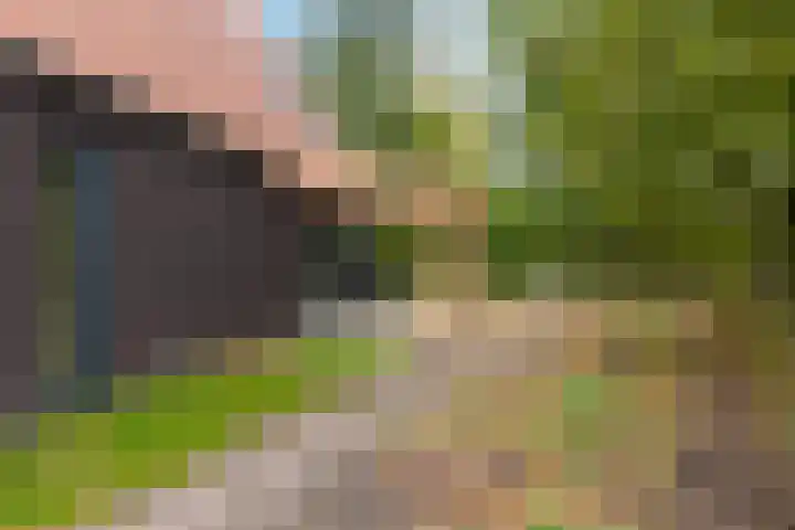 Gerritjeshof 2 Leersum thumbnail 66
