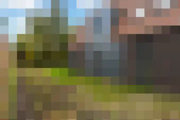 Gerritjeshof 2 Leersum thumbnail 67