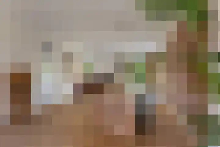 Gerritjeshof 2 Leersum thumbnail 9