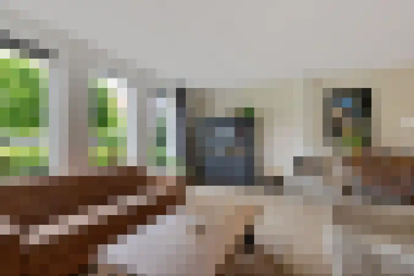 Gerritshof 4 Sneek thumbnail 11