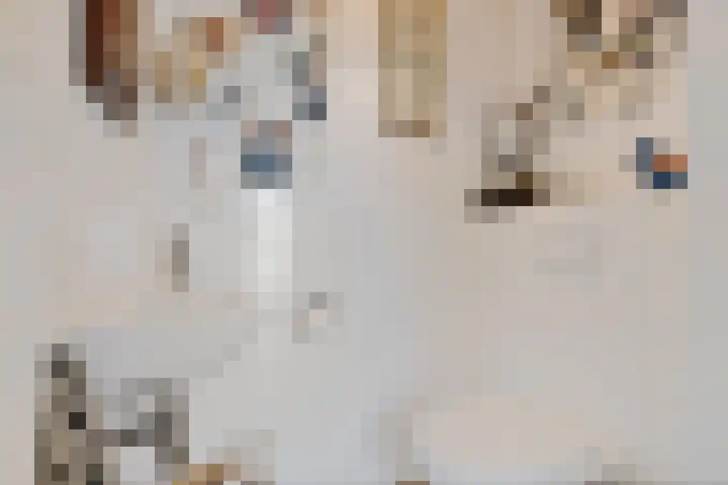 Gerritshof 4 Sneek thumbnail 20