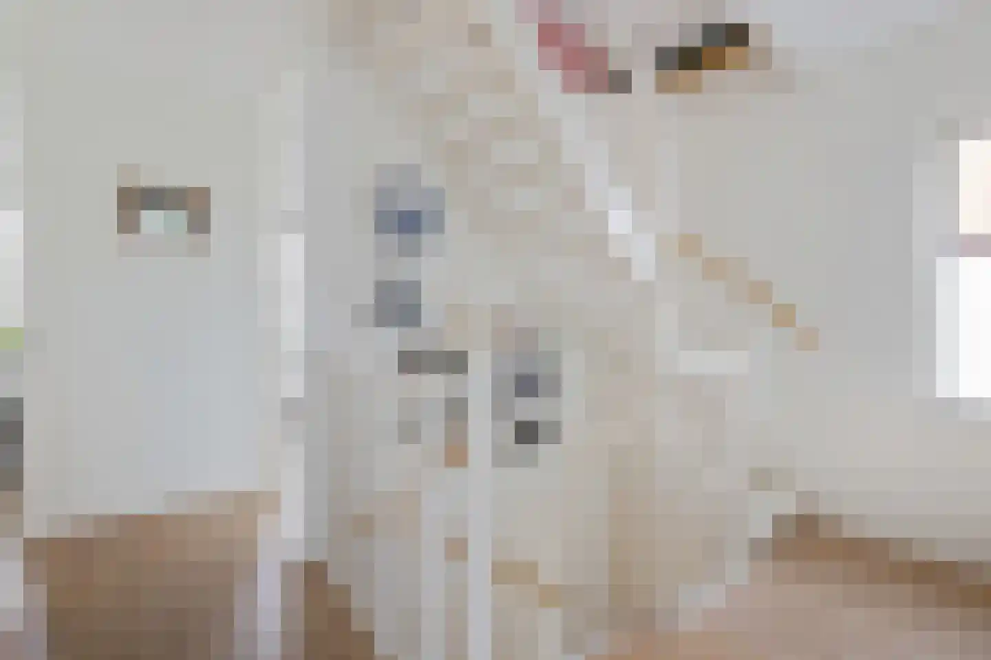 Gerritshof 4 Sneek thumbnail 21