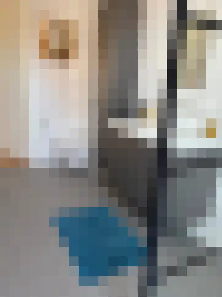 Gerritshof 4 Sneek thumbnail 32