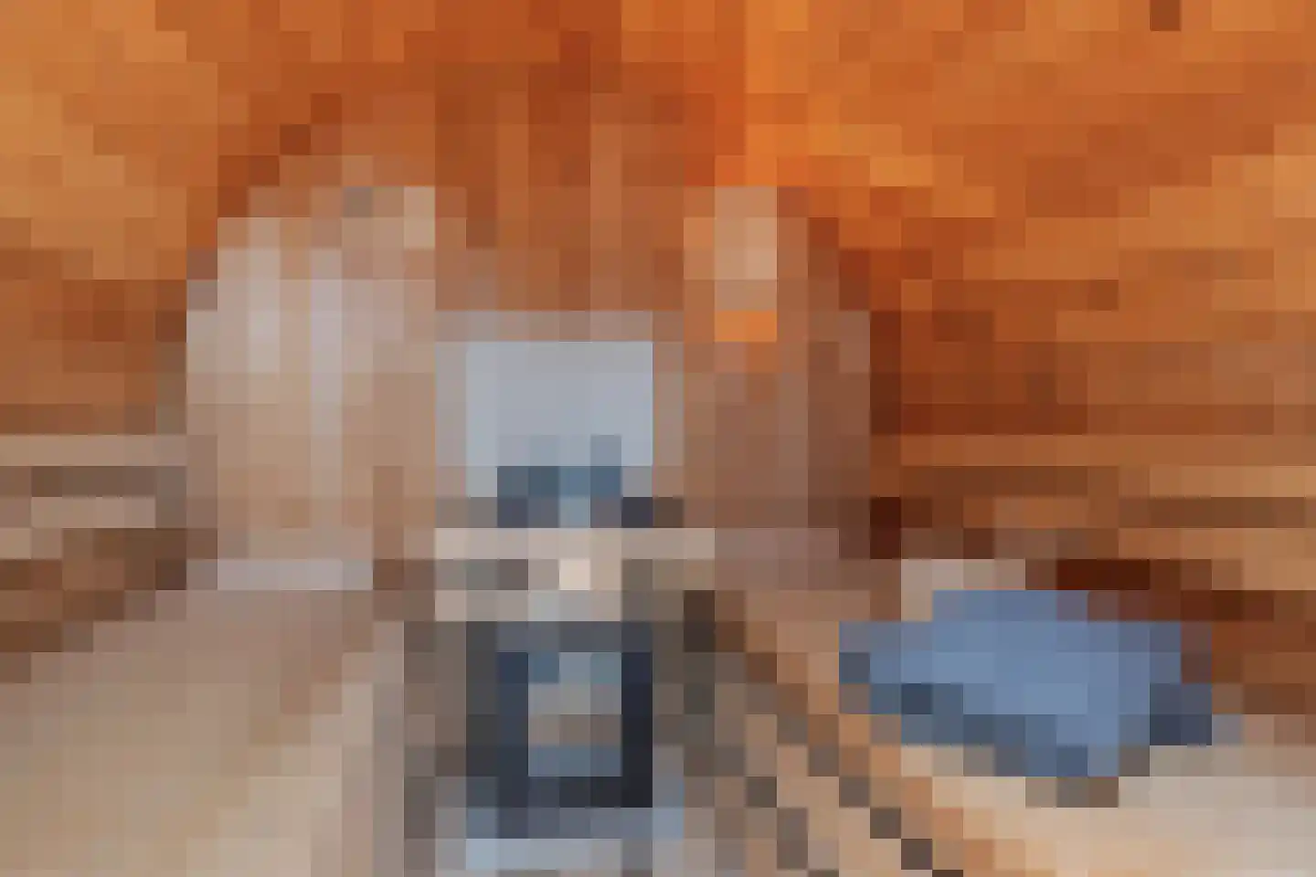 Gerritshof 4 Sneek thumbnail 37