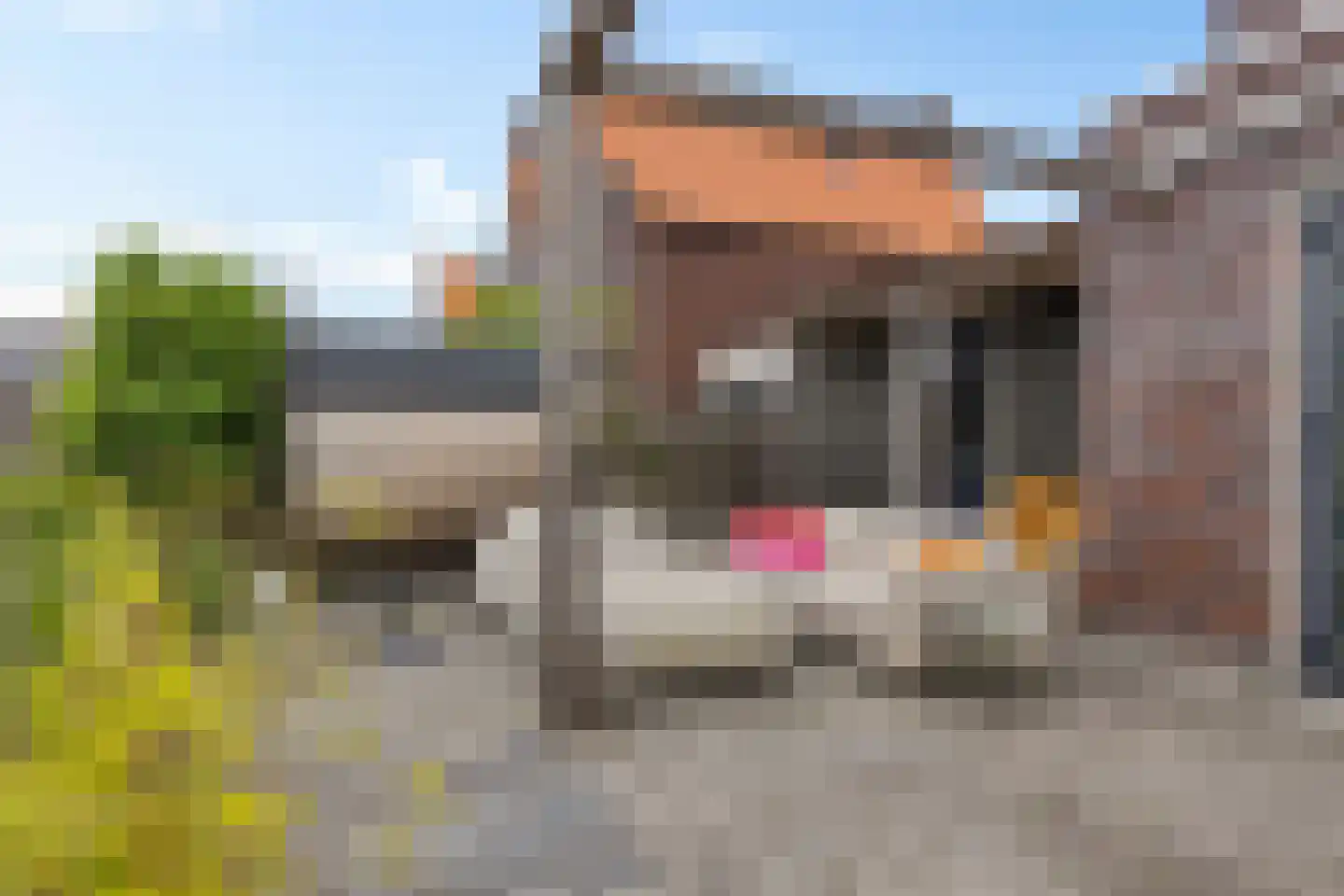 Gerritshof 4 Sneek thumbnail 40