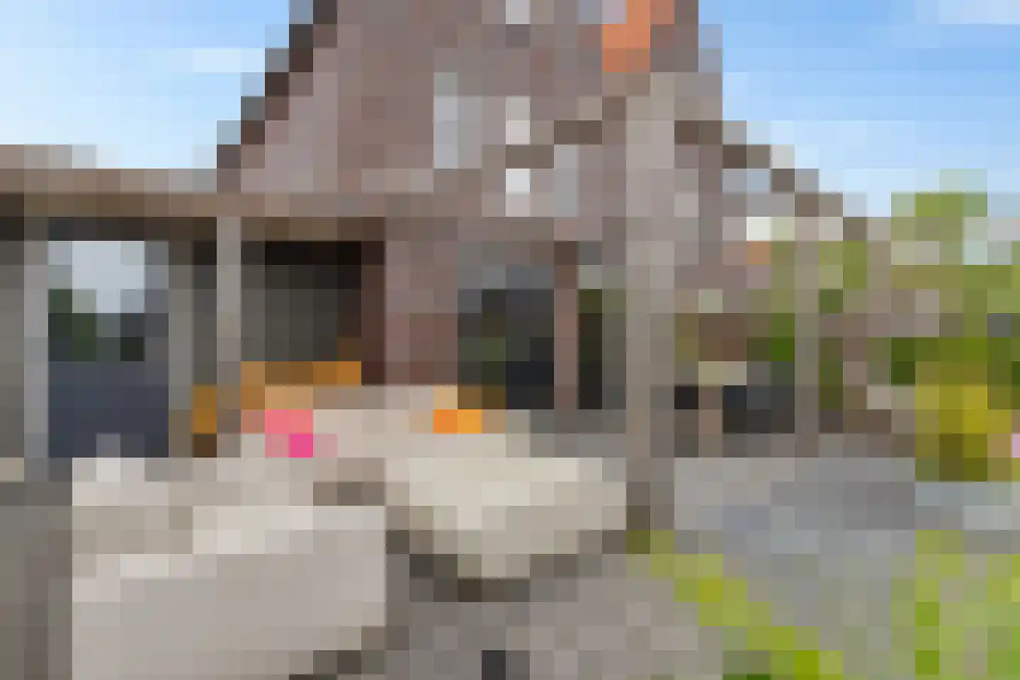 Gerritshof 4 Sneek thumbnail 43