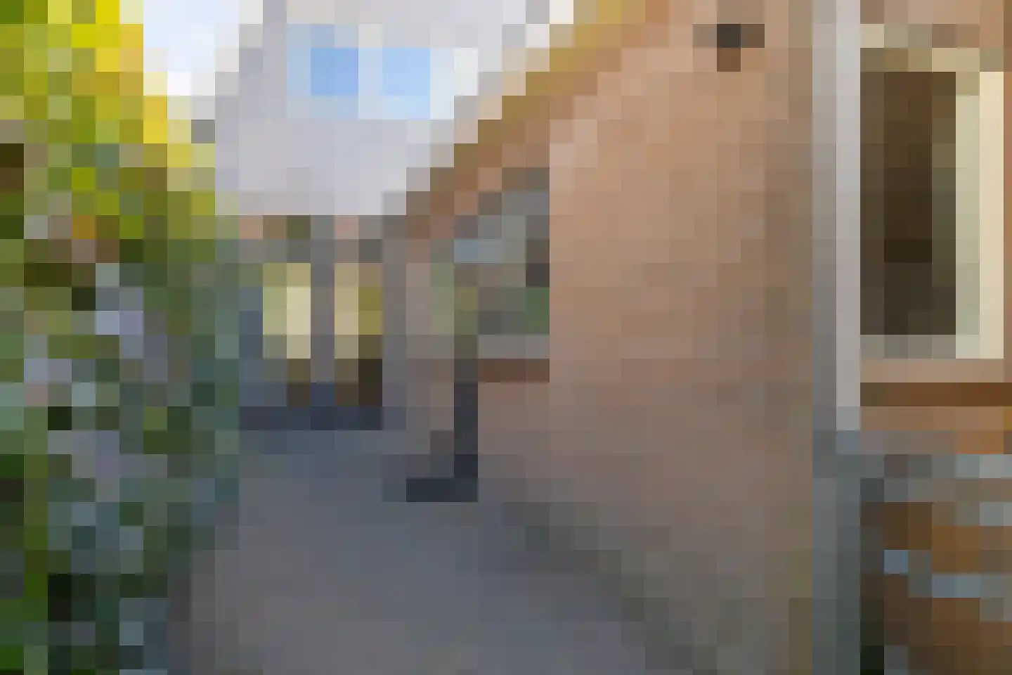 Gerritsland 13 Hoorn thumbnail 43