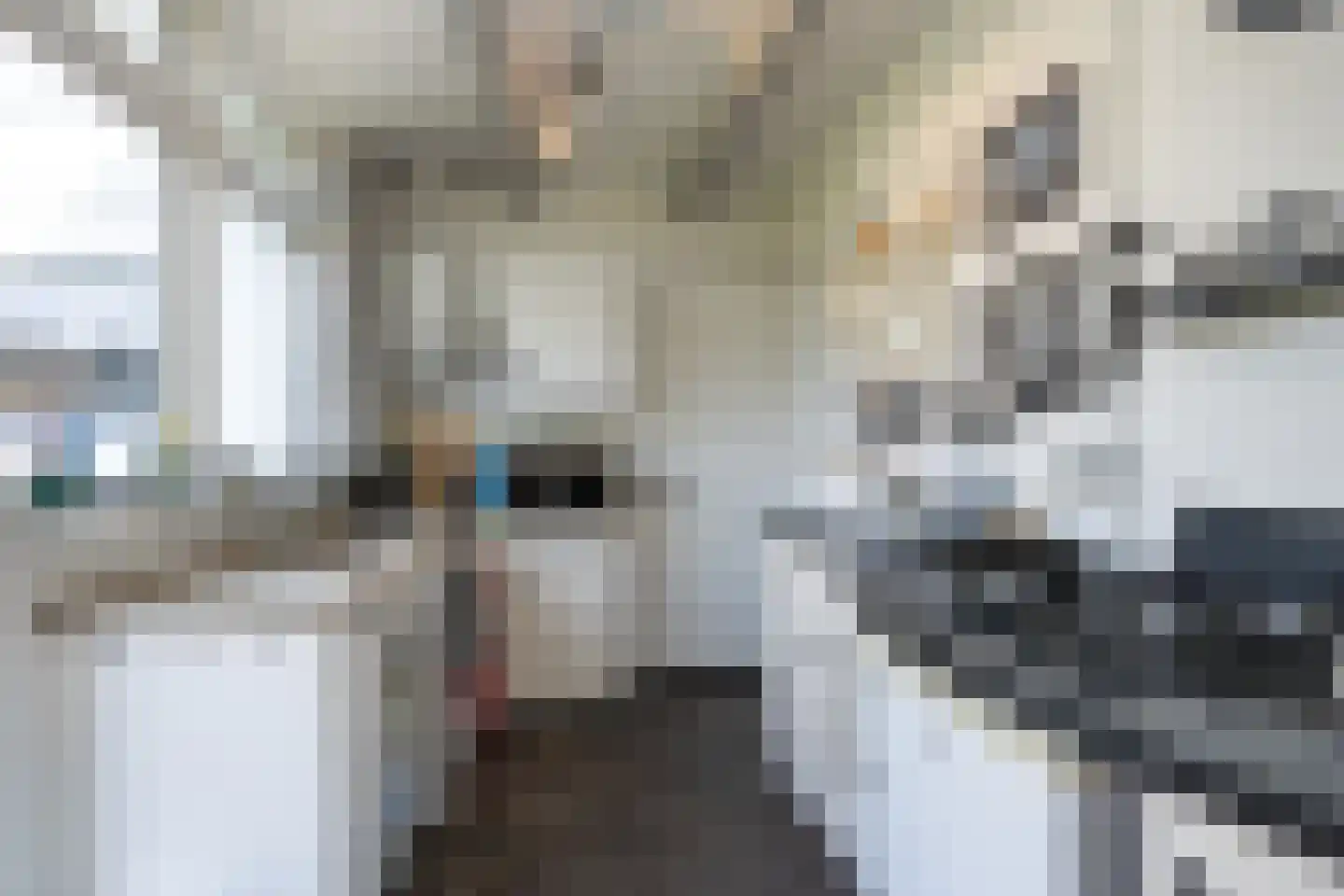 Gerritslanderdijkje 122 Den Burg thumbnail 11