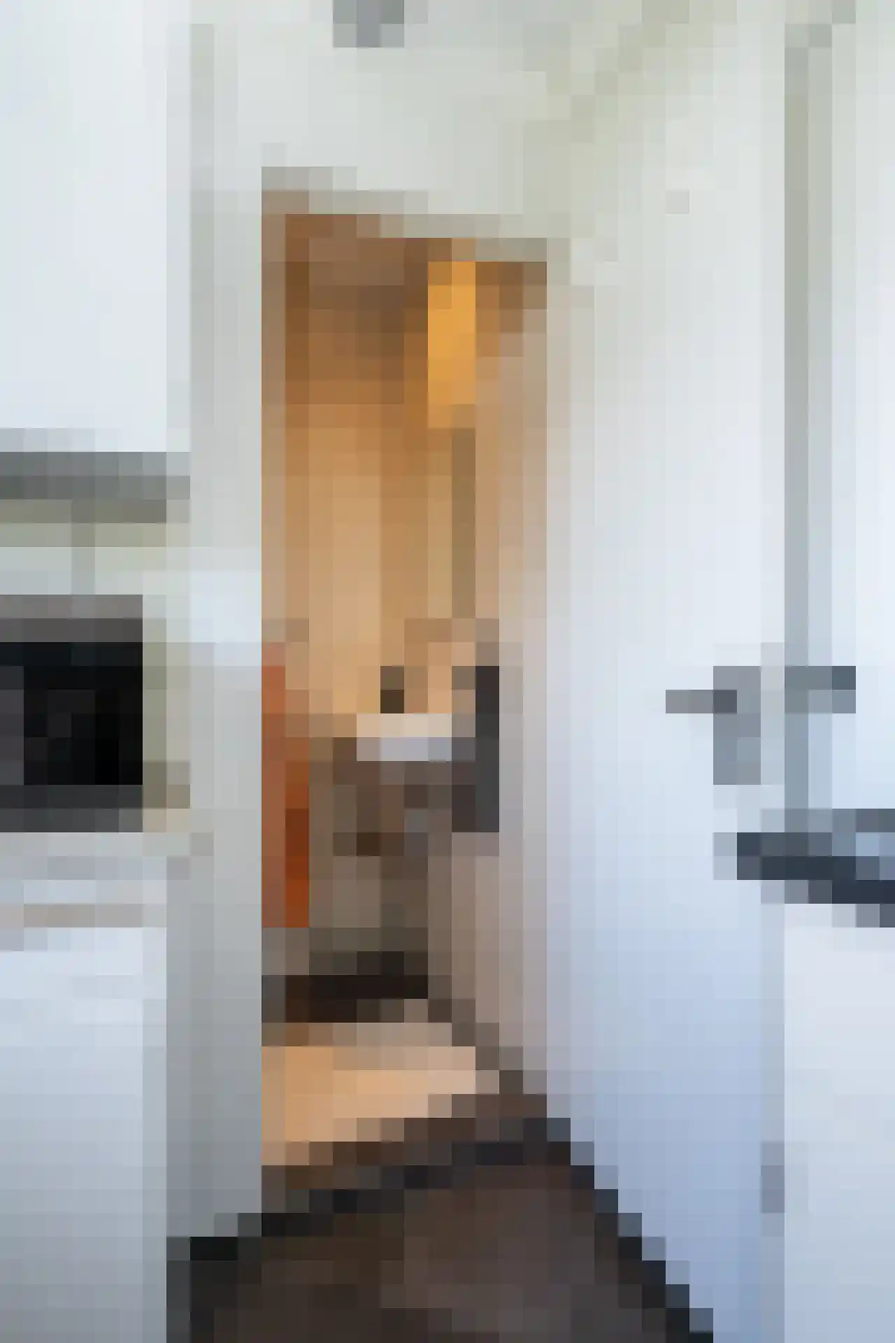 Gerritslanderdijkje 122 Den Burg thumbnail 12