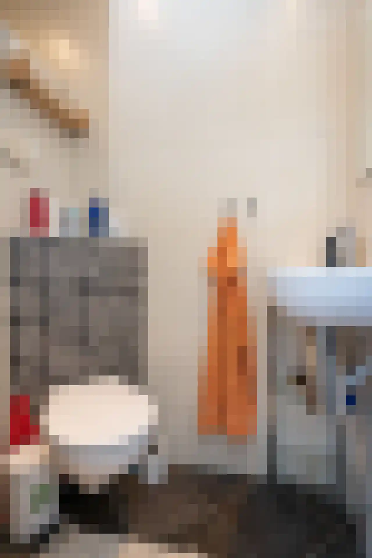 Gerritslanderdijkje 122 Den Burg thumbnail 13