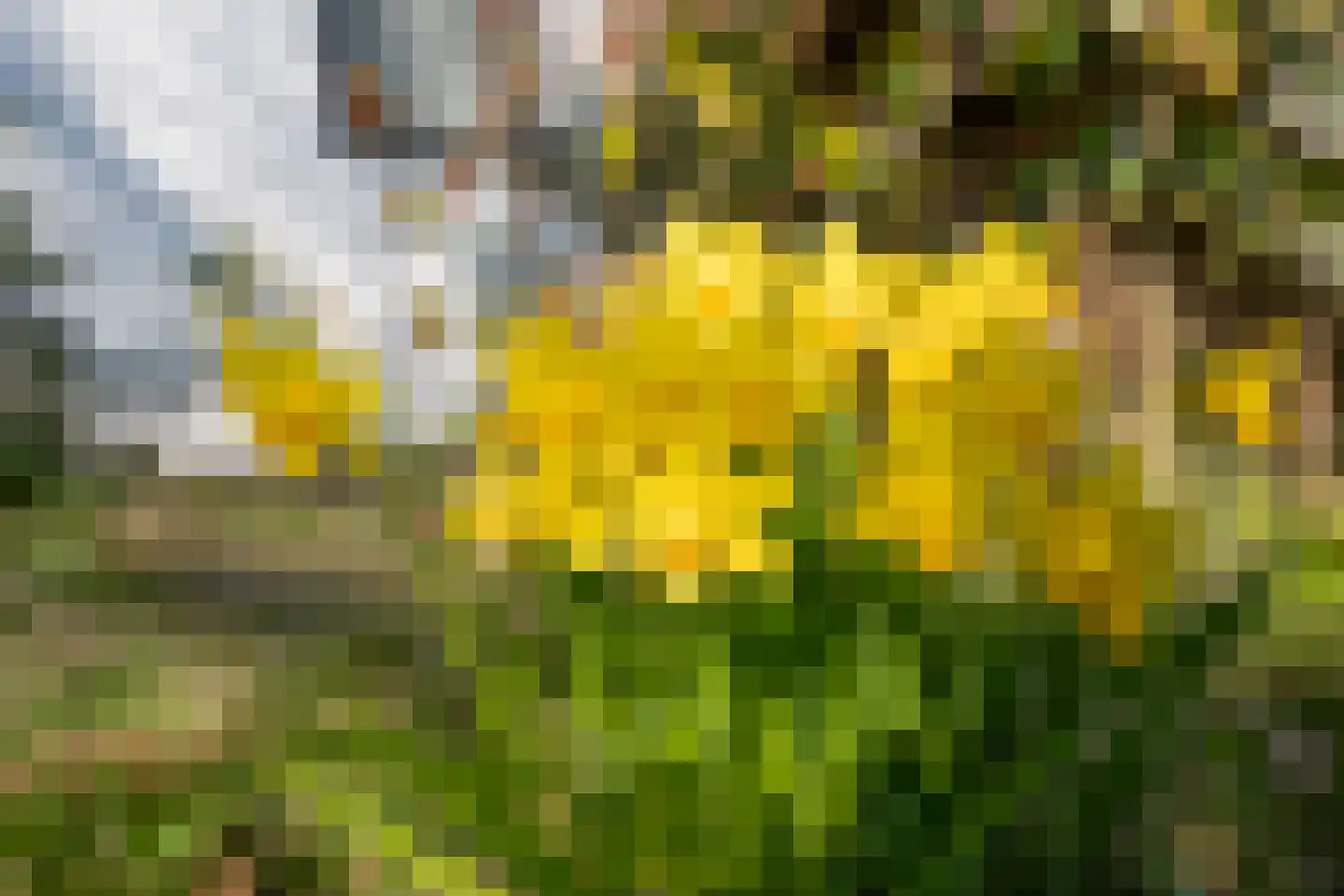 Gerritslanderdijkje 122 Den Burg thumbnail 31