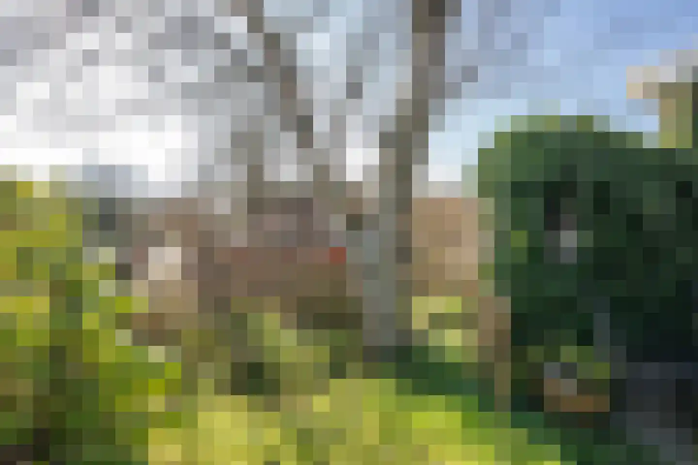 Gerritslanderdijkje 122 Den Burg thumbnail 33