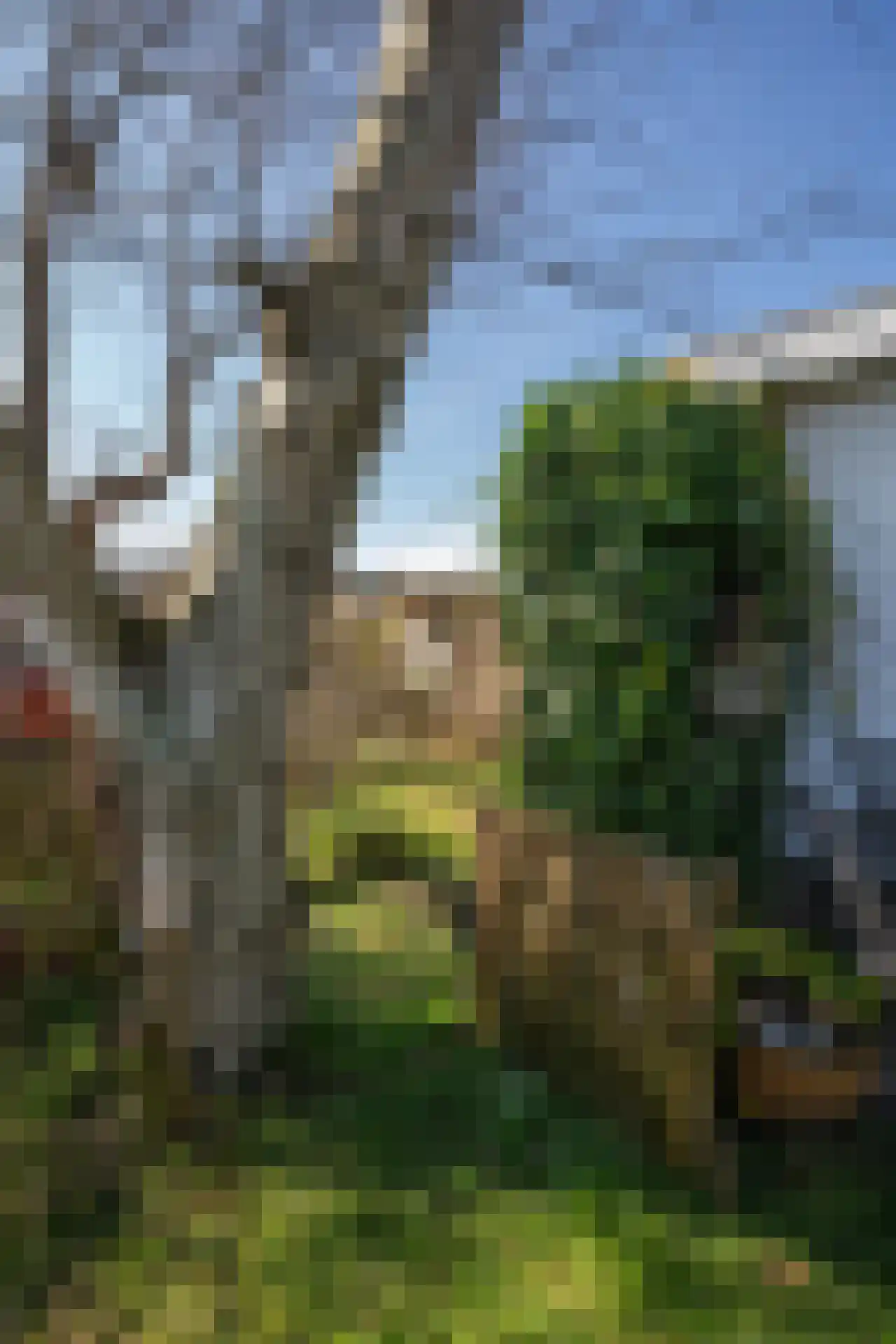 Gerritslanderdijkje 122 Den Burg thumbnail 34