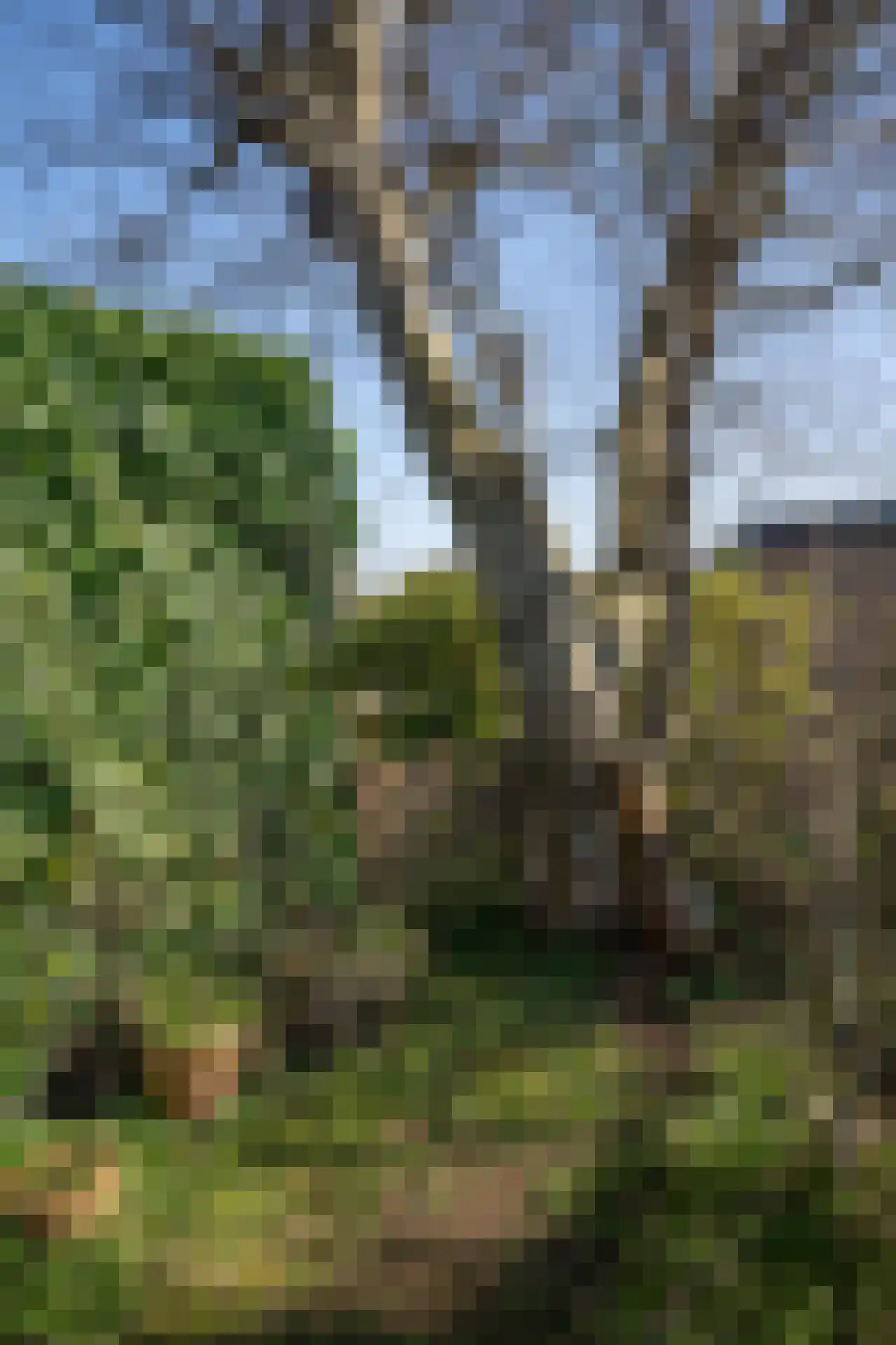 Gerritslanderdijkje 122 Den Burg thumbnail 35