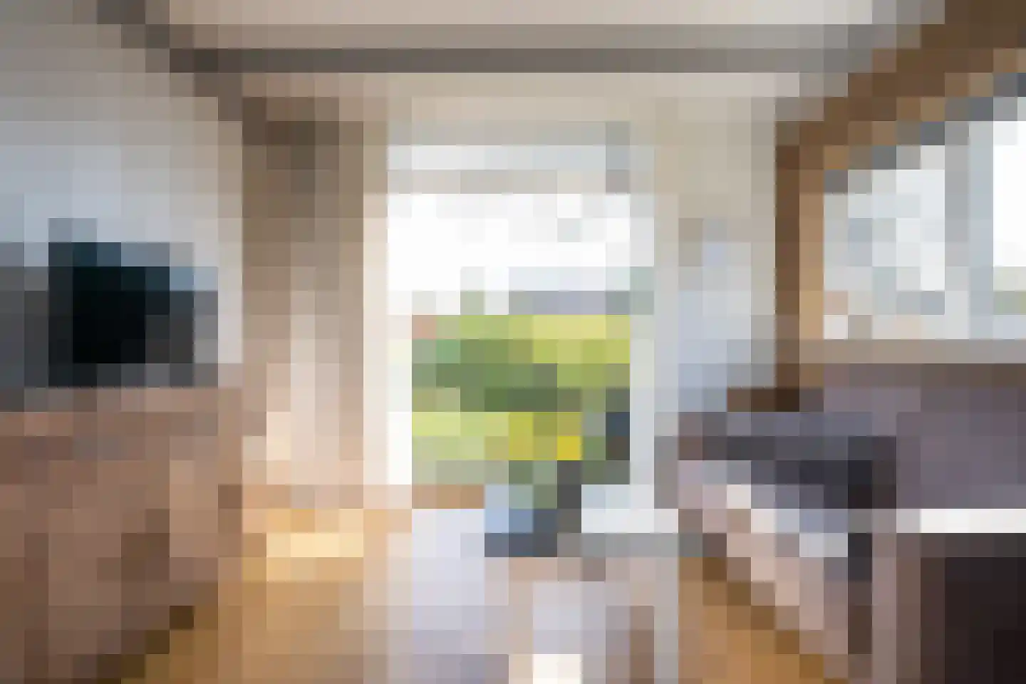 Gerritslanderdijkje 122 Den Burg thumbnail 4