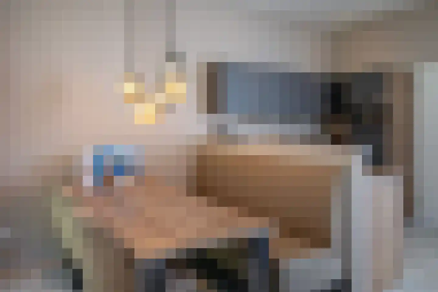 Gerritslanderdijkje 138 Den Burg thumbnail 11