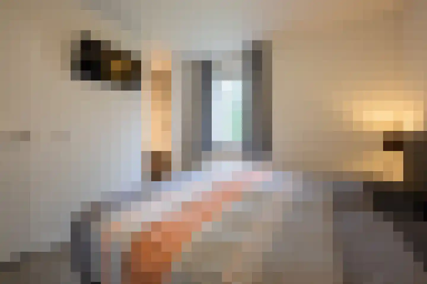 Gerritslanderdijkje 138 Den Burg thumbnail 15