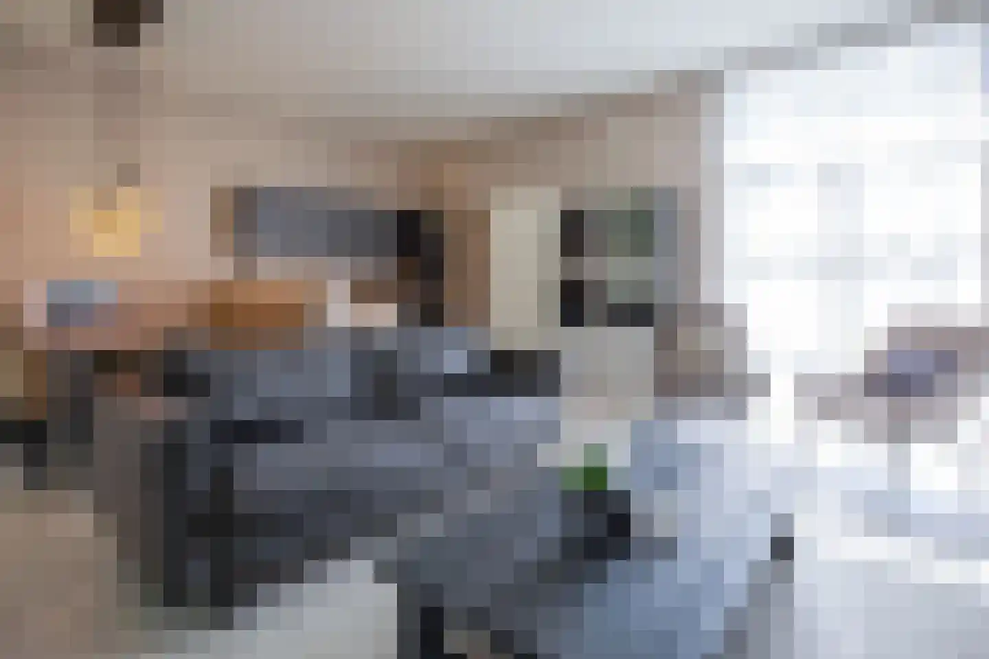 Gerritslanderdijkje 138 Den Burg thumbnail 8
