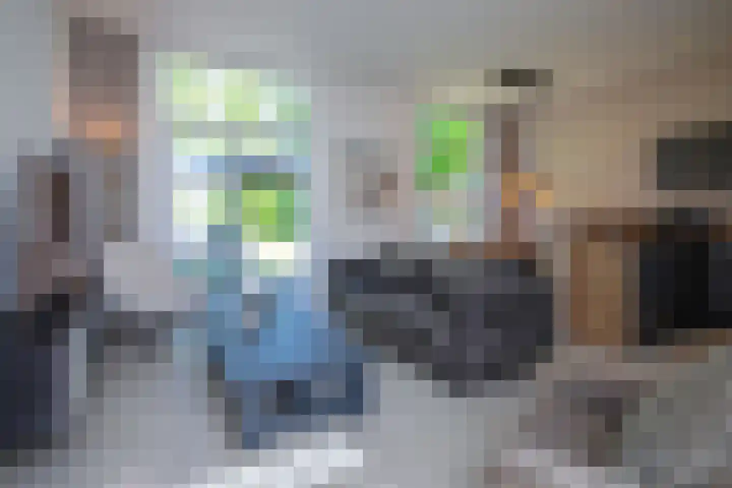Gerritslanderdijkje 138 Den Burg thumbnail 9