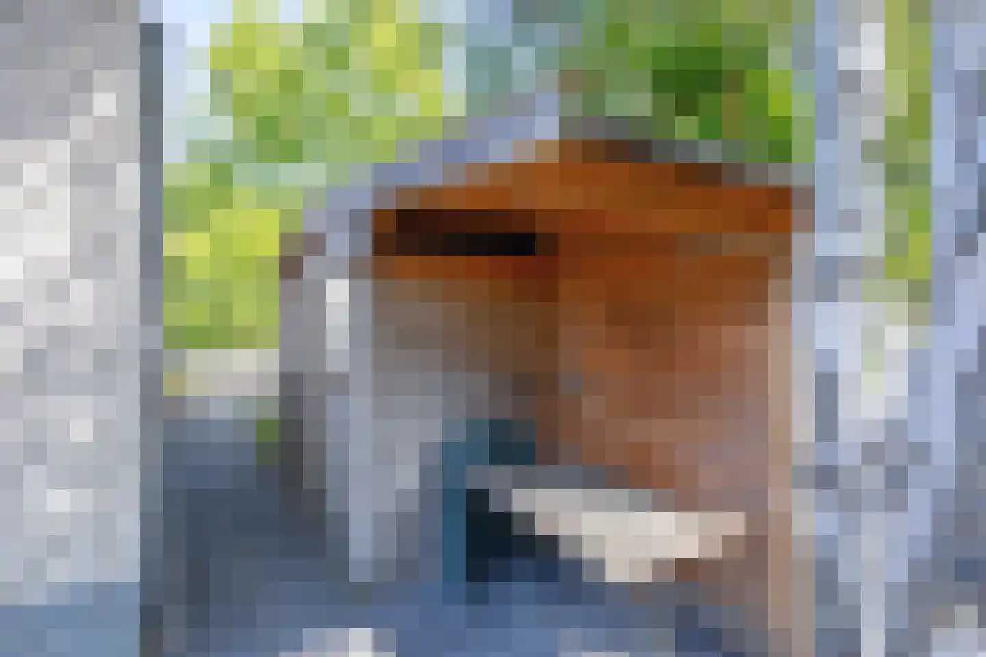 Gerritslanderdijkje 168 Den Burg thumbnail 31
