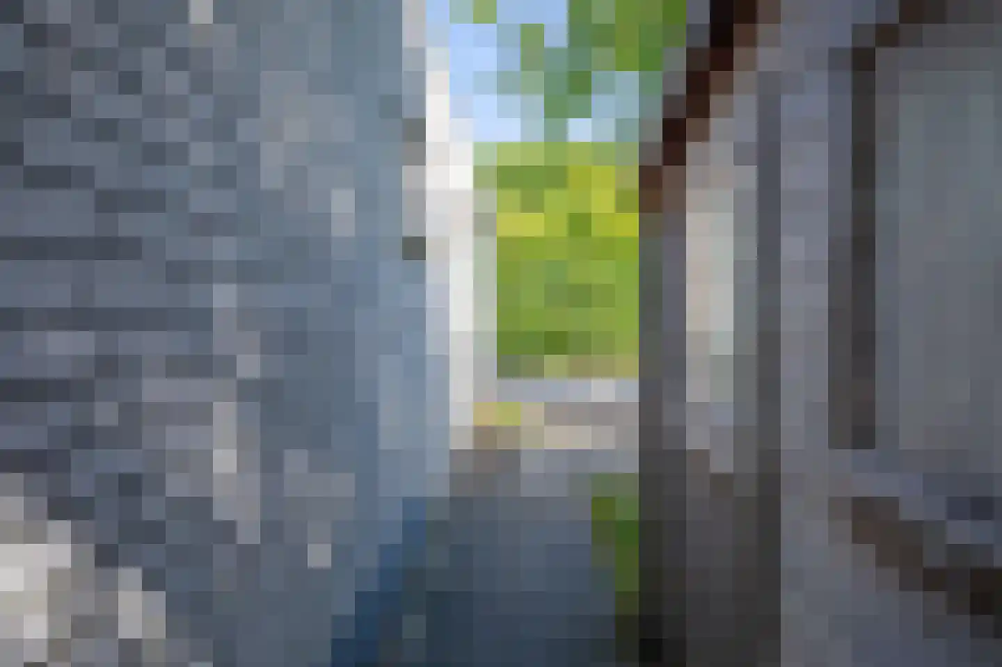 Gerritslanderdijkje 168 Den Burg thumbnail 32