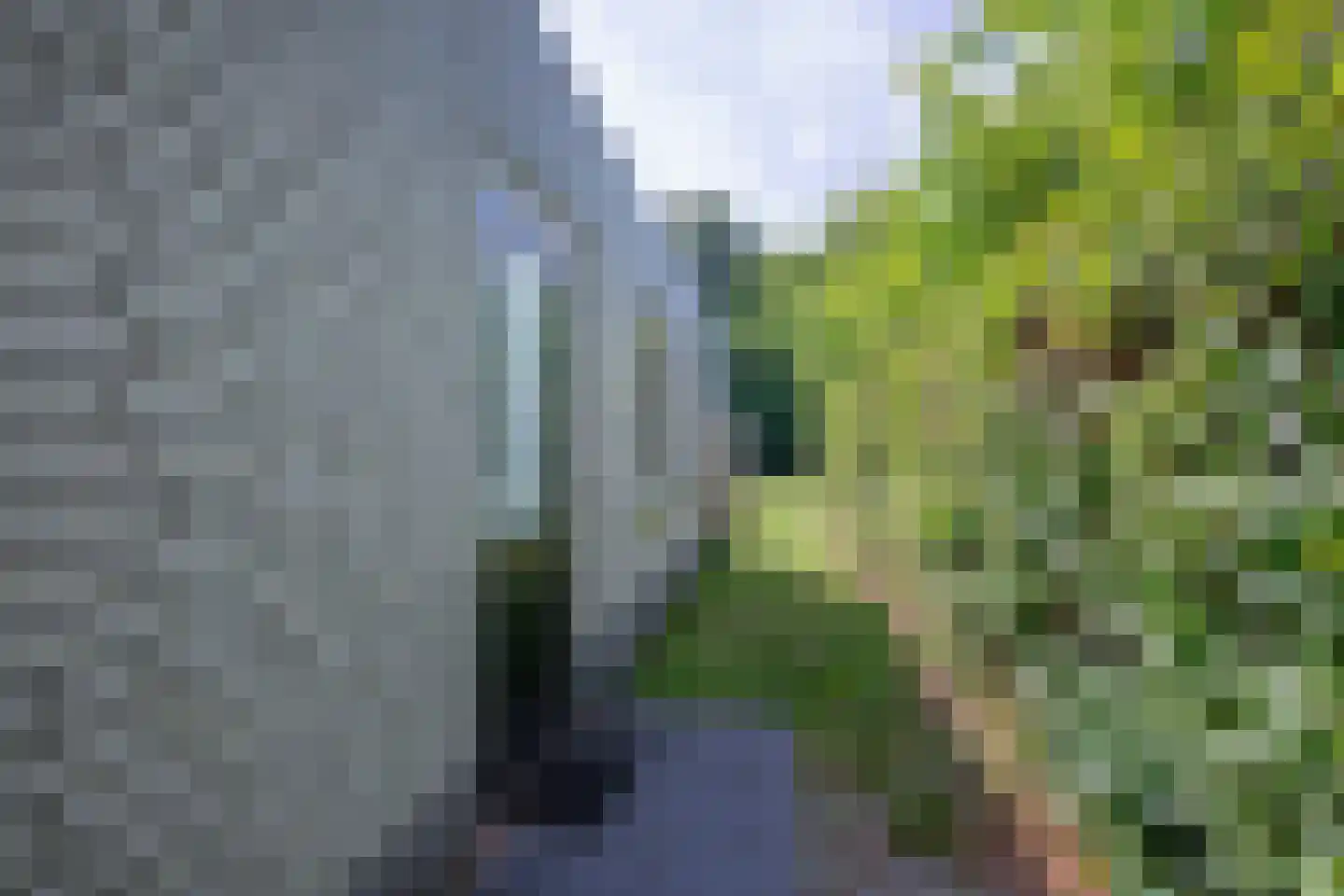 Gerritslanderdijkje 168 Den Burg thumbnail 37