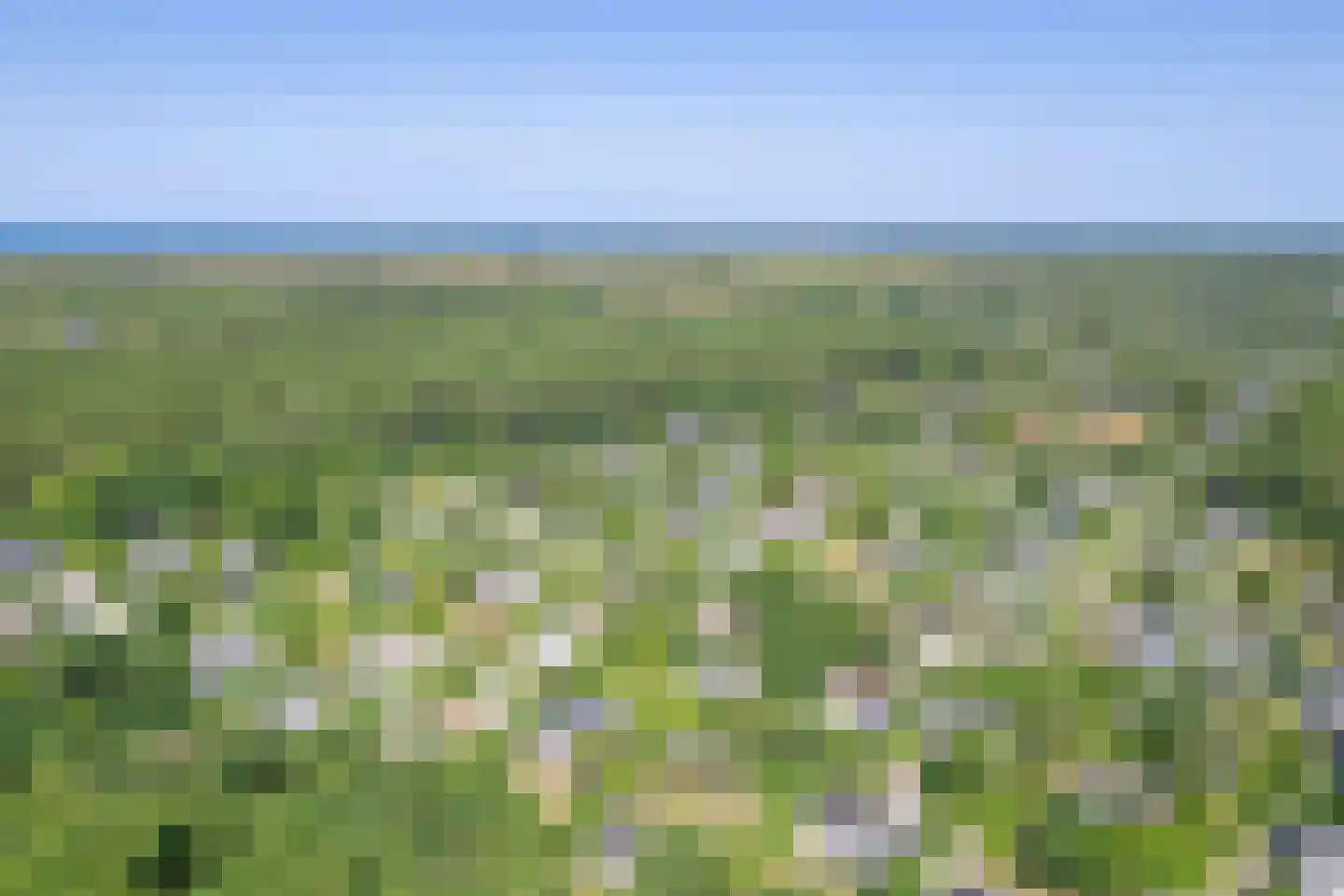 Gerritslanderdijkje 168 Den Burg thumbnail 39