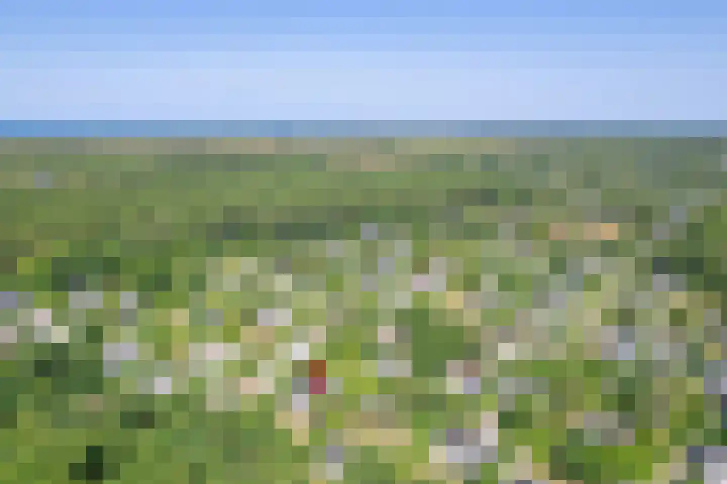 Gerritslanderdijkje 168 Den Burg thumbnail 4