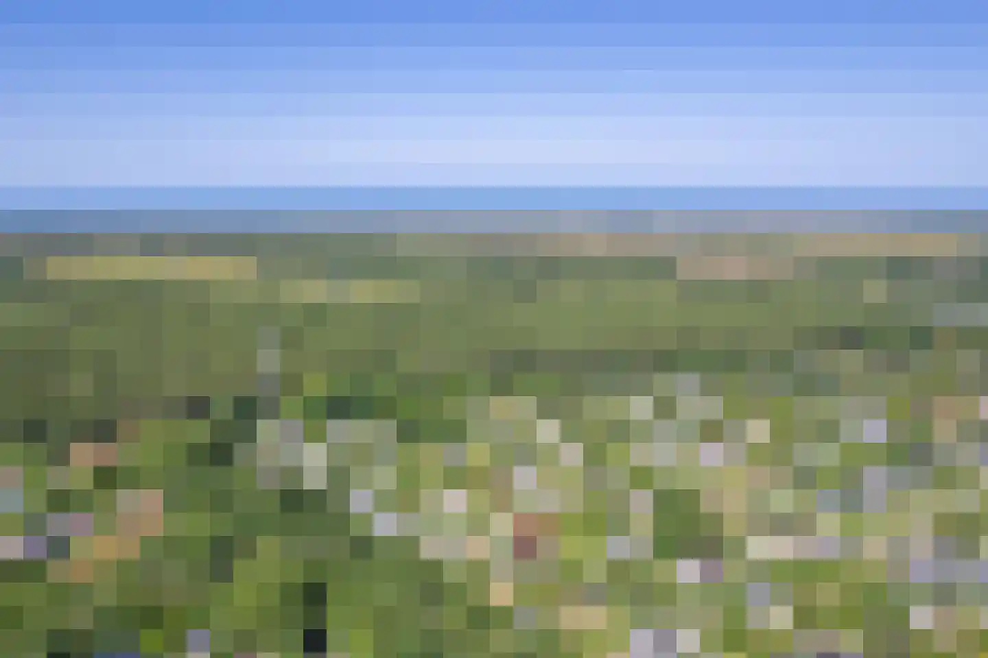 Gerritslanderdijkje 168 Den Burg thumbnail 41