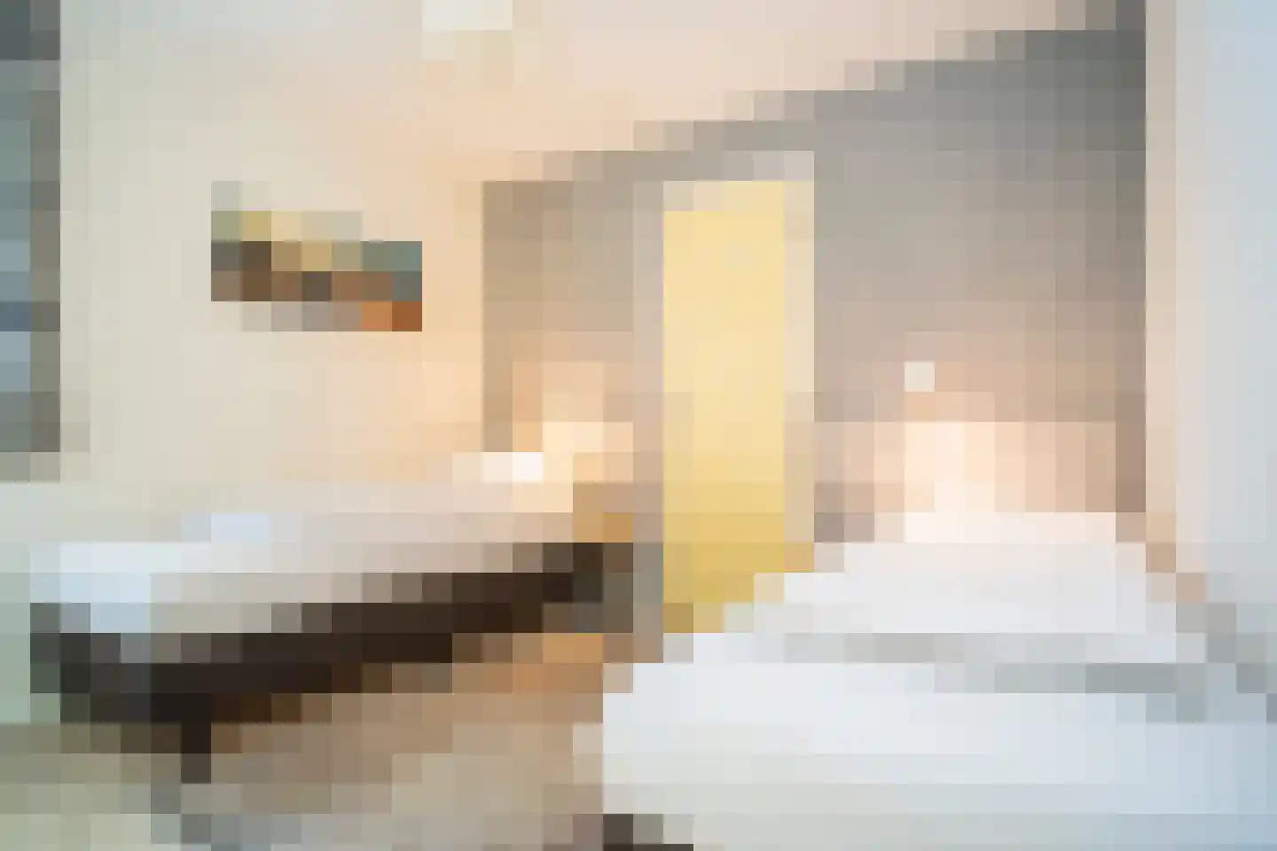 Gerritslanderdijkje 178 Den Burg thumbnail 15