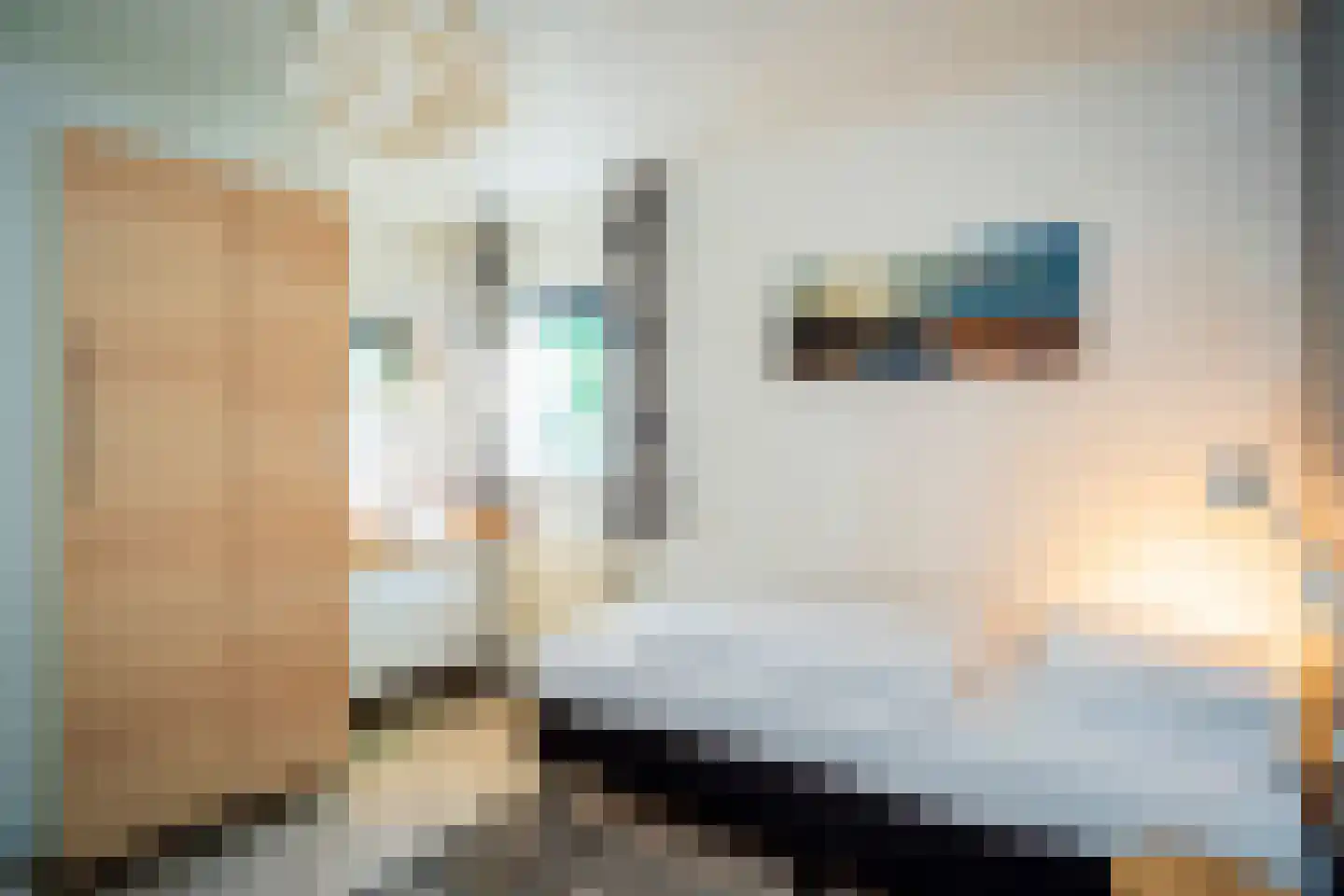 Gerritslanderdijkje 178 Den Burg thumbnail 16