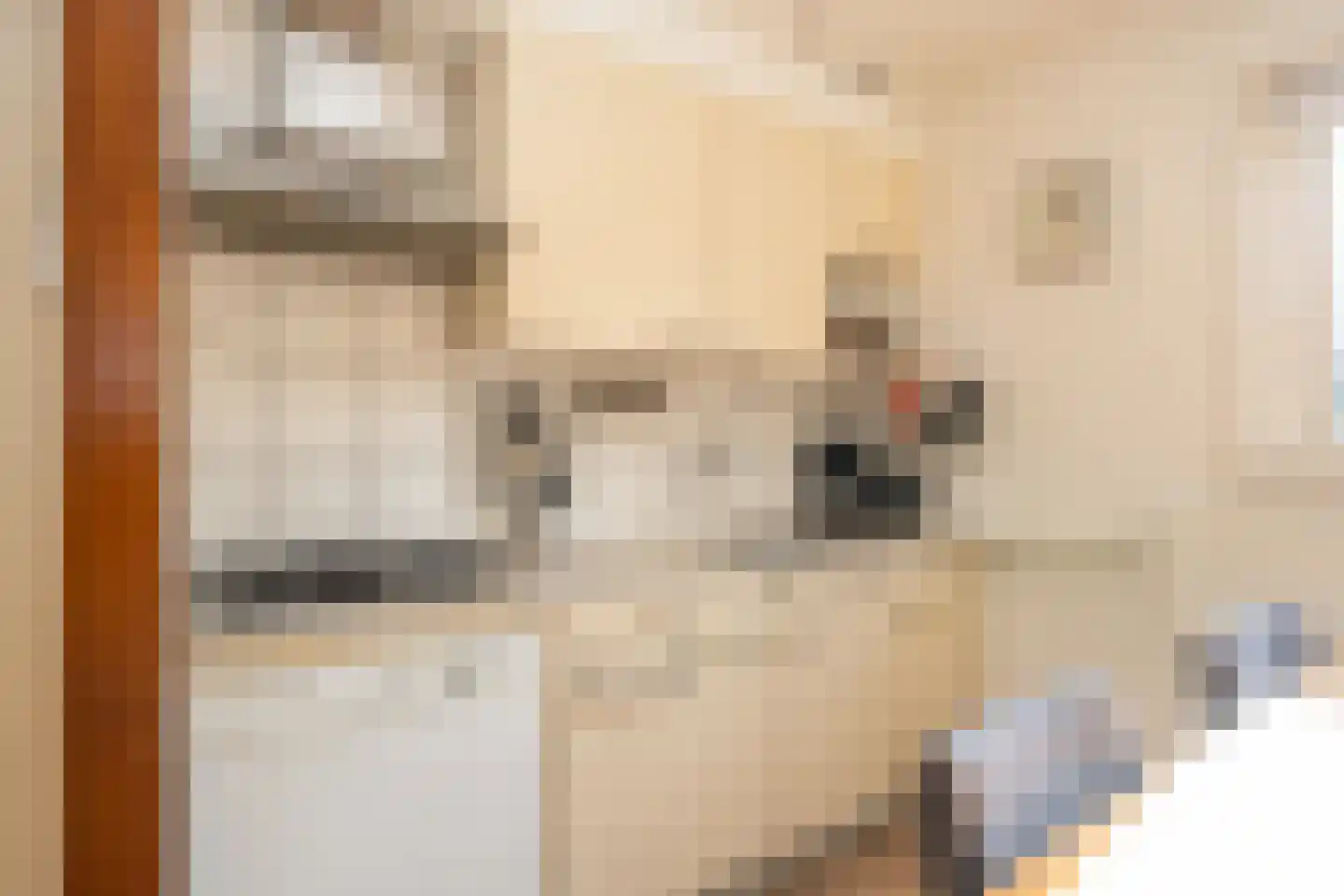 Gerritslanderdijkje 192 Den Burg thumbnail 13