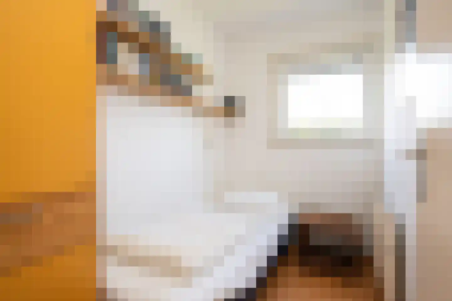 Gerritslanderdijkje 192 Den Burg thumbnail 17